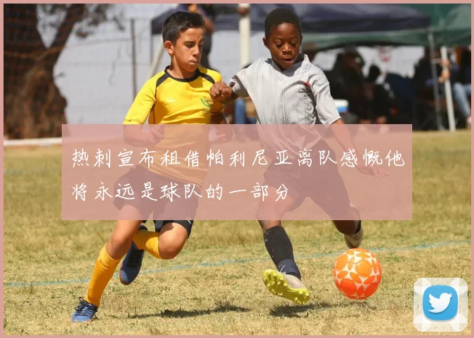 热刺宣布租借帕利尼亚离队感慨他将永远是球队的一部分
